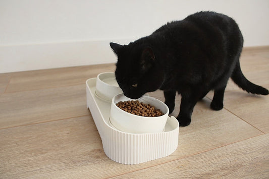 Dubbele voerbak | Keramische eet- en drinkbak voor katten | Kattenstijl