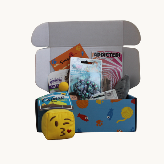 Purresent Birthday Box — Verjaardagscadeau voor jouw kat