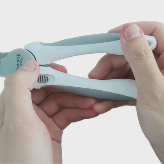 Nagels van een kat veilig knippen met de nagelknipper